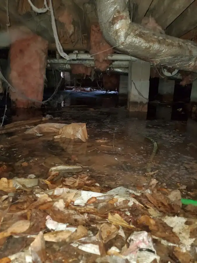 Crawl space flood assessment for Leak Detection & Repair in Maricopa